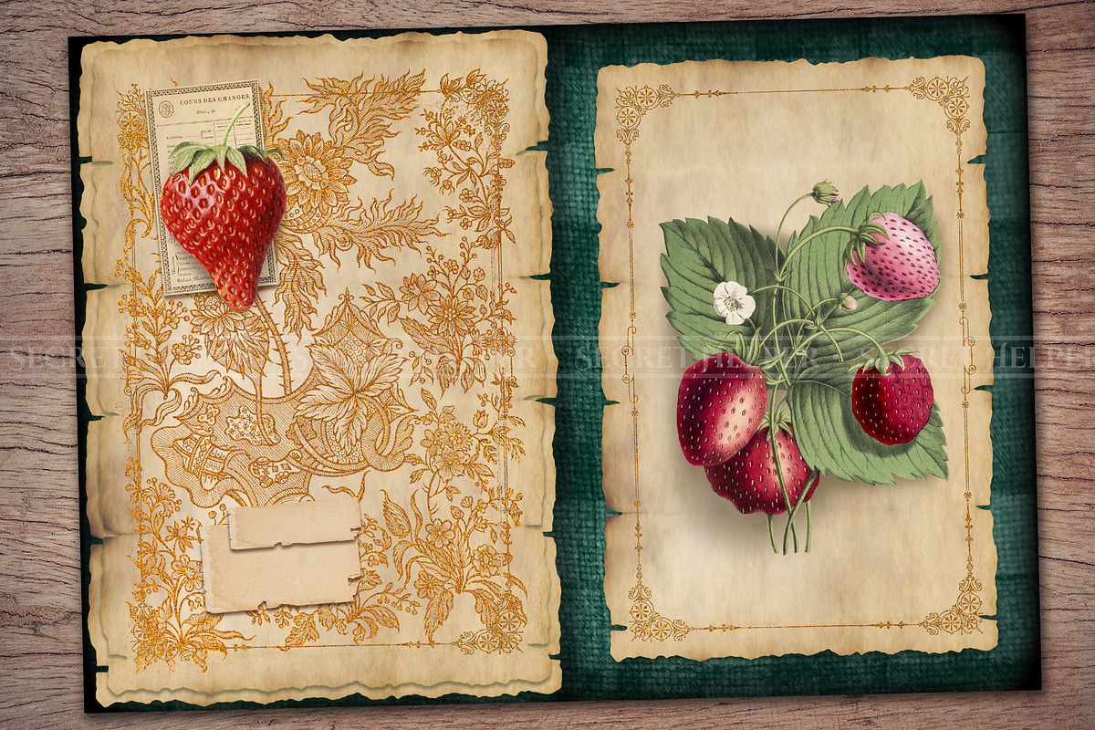 Strawberry Scrapbooking Kit, a Food Illustration by Secret Helper (Photo 6 of 8)