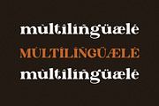 The Braga Modern Font, a Serif Font by Font Kingdom (Thumbnail 6 of 7)