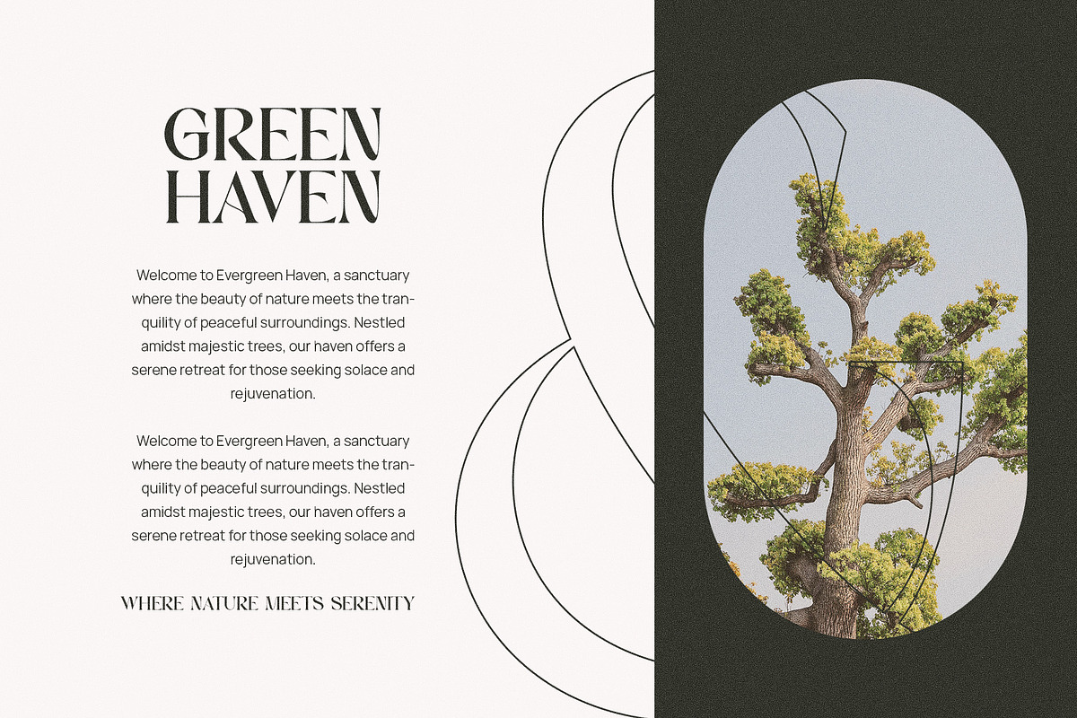Morins Elegant Serif Font Typeface, a Serif Font by Perfectype (Photo 5 of 8)