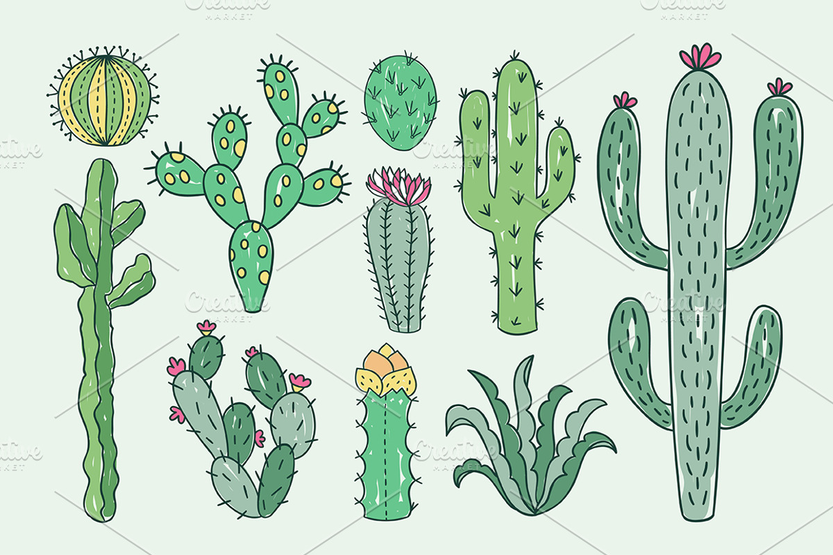 Cactus collection, an Illustration by Redchocolate (Photo 2 of 6)