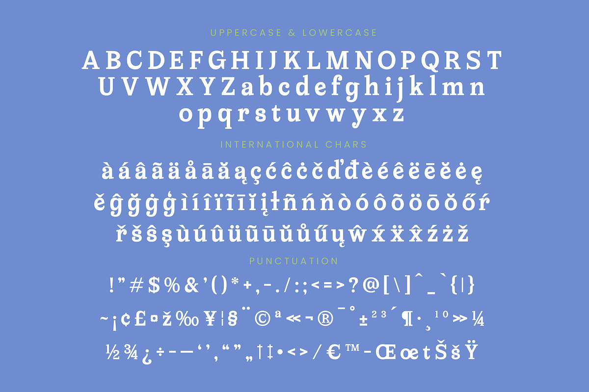 Meridi Rolitud Modern Serif Font, a Serif Font by timelesstype.co (Photo 19 of 20)