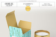 Odilie Illustration Set MEGA BUNDLE, an Illustration by Castlefield Design (Thumbnail 3 of 4)