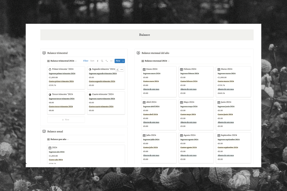 Serenidad financiera Notion Tracker, a Templates & Theme by The Peach Shop (Photo 3 of 6)