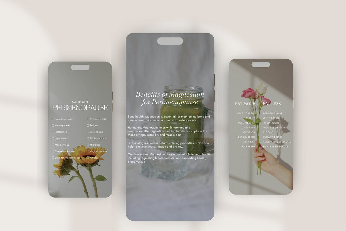Menopause Canva Template Bundle, a Social Media Template by Naturopath Hub (Photo 4 of 10)
