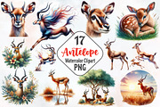 Antelope Watercolor Clipart, an Animal Illustration by RobertsArt (Thumbnail 1 of 4)