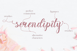 Rosita Script - Stylish Brush Font