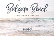 Portabella Font Collection, a Script Font by Callie Rian & Co. (Thumbnail 9 of 19)