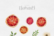Citrus Watercolour Collection, an Illustration by GraphicSupplyCo. (Thumbnail 5 of 5)