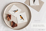 Birds of North America watercolor, an Animal Illustration by Diana Askarova Art (Thumbnail 7 of 9)