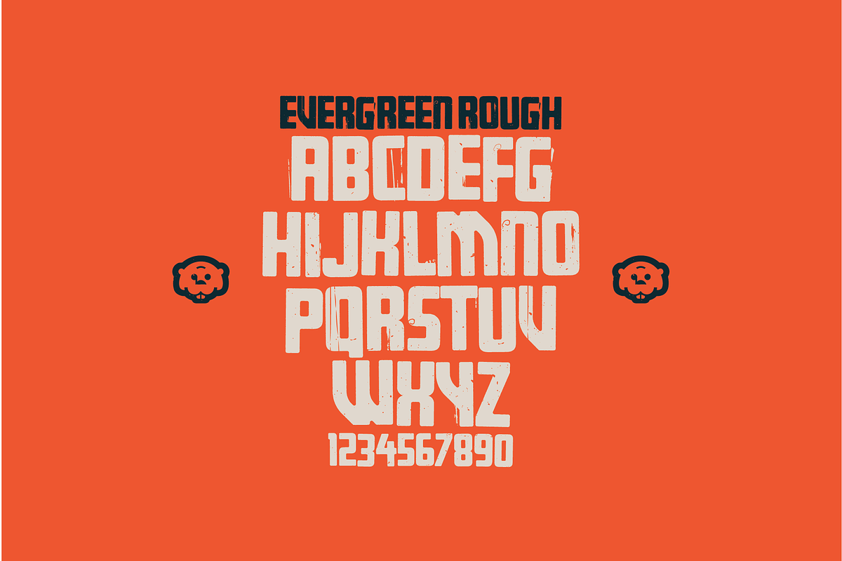 Evergreen Font | 7 Bold Styles, a Sans Serif Font by Bend Industries (Photo 7 of 7)