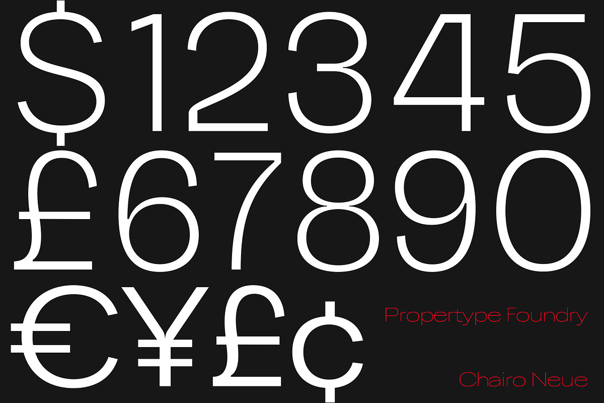 ChairoNeue, a Sans Serif Font by Propertype (Photo 3 of 14)