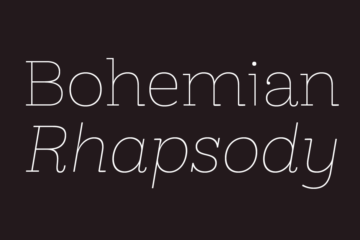 Hernández Niu, a Slab Serif Font by Latinotype (Photo 4 of 17)