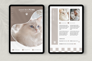 Canva Cat Media Kit Template