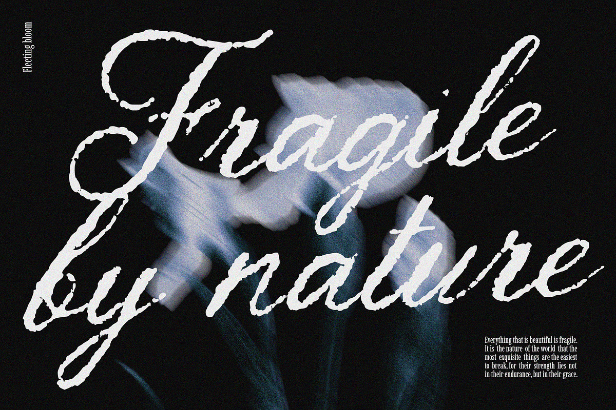 Ember Crown | Messy Textured Script, a Script Font by AnMark (Photo 10 of 12)