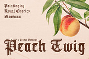 CS Morstan Drawn, a Blackletter Font by Craft Supply Co. (Thumbnail 6 of 8)