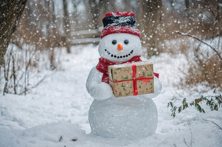 Snowman holding a gift in a snowy fo, a Photo by Tanuart