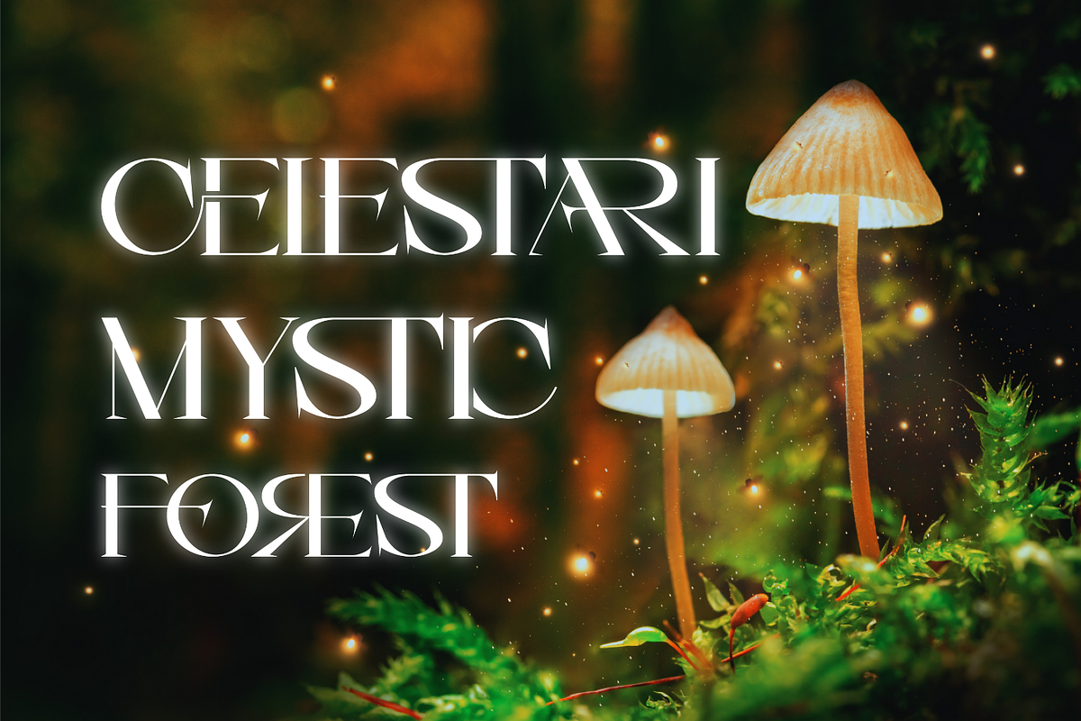 Fantasy Narratives Font, a Serif Font by 177Studio (Photo 3 of 8)