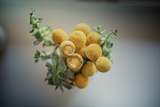 Wedding presets LR style Jose Villa, a Preset Add-On by ColorPhoto (Thumbnail 4 of 11)