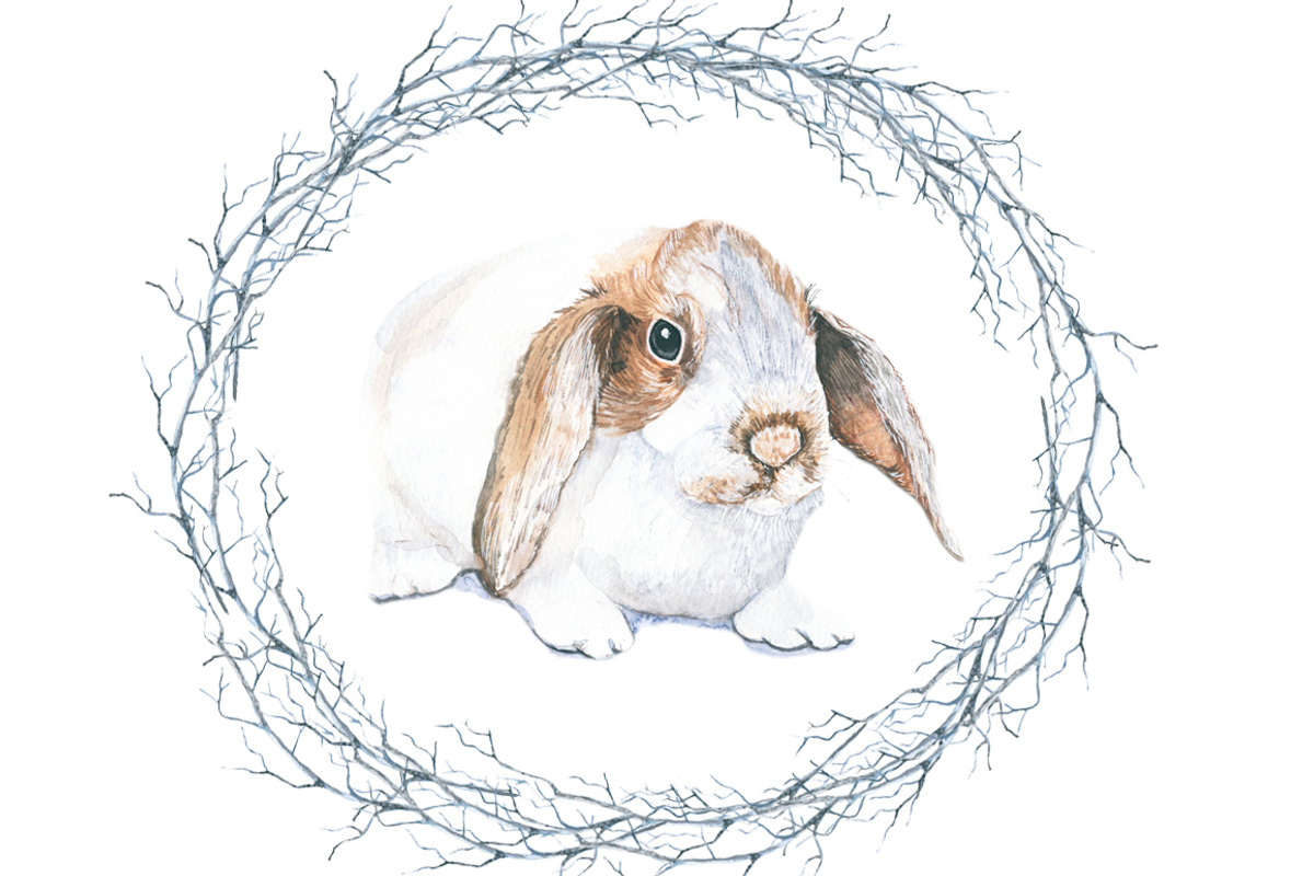 Animals watercolor, an Animal Illustration by JuliaFast (Photo 2 of 4)