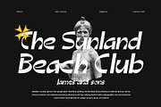 Pidgey, a Sans Serif Font by Damelev (Thumbnail 4 of 9)