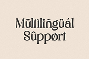 Argillites - Display Serif Font, a Serif Font by RockboyStd (Thumbnail 8 of 12)