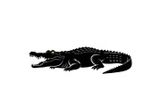 Crocodile Alligator Vector Bundle, an Illustration by jahid234 (Thumbnail 49 of 51)