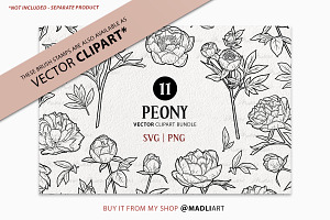 Peony Flower Procreate Brush Stamps