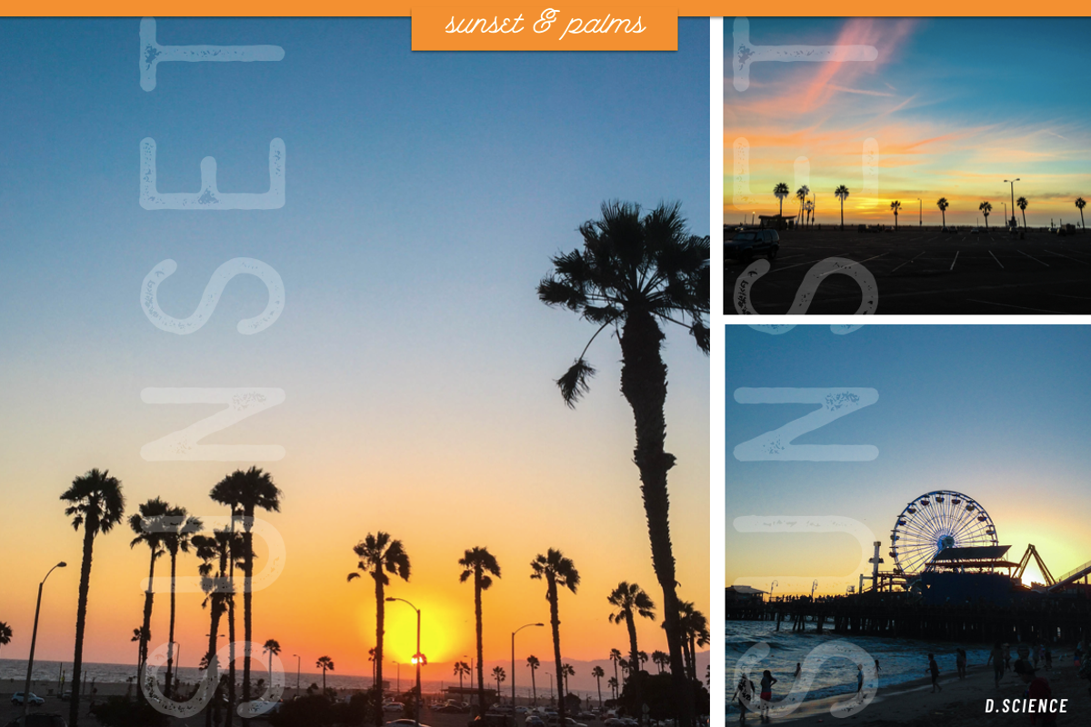 Sunset & Palm Trees Photo Bundle, a Nature Photo by Template Monkey @dscience (Photo 8 of 12)