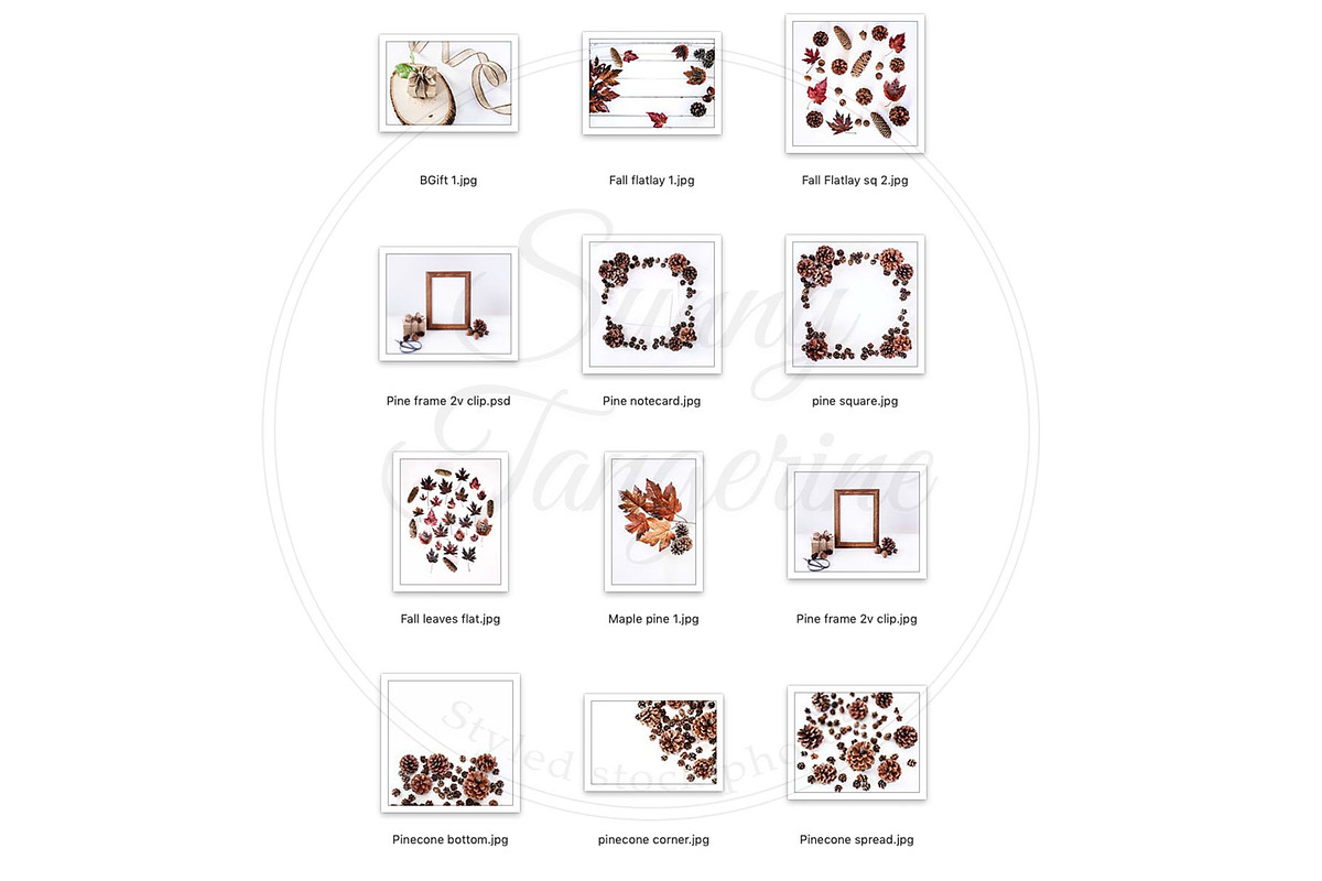 Deep Fall Bundle - Stock Photos, a Print Template by SunnyTangerine Stock (Photo 5 of 12)