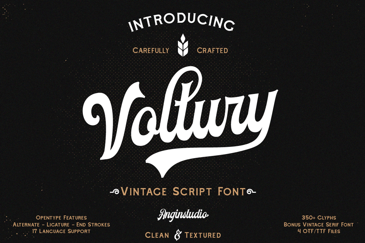 Voltury Vintage Script (with extras)