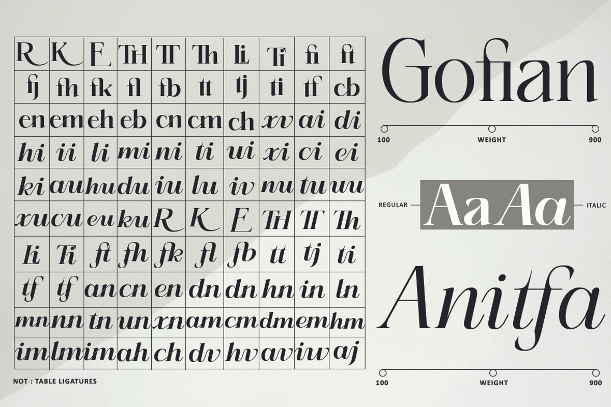 Refhiza, a Serif Font by TM Type (Photo 8 of 12)