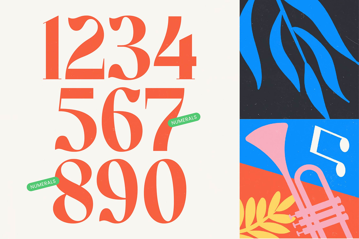 Sadisco - Bold Serif Display, a Serif Font by timelesstype.co (Photo 18 of 20)