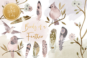 Birds & Feathers Clipart Set