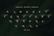 Ladya | Serif Display Font, a Serif Font by Ekahermawan (Thumbnail 10 of 15)