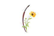 Vector object brushes. Calendula, a Brush Add-On by Peolla (Thumbnail 2 of 16)