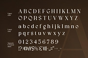 Coralie - Modern Elegant Serif Font, a Serif Font by Flawless And Co (Thumbnail 9 of 10)