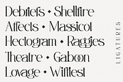 Misslena, a Serif Font by din-studio.com (Thumbnail 7 of 10)