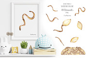 Life Cycle Watercolor Collection, an Education Illustration by MayaNavits (Thumbnail 8 of 12)