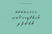 Mr. Skywhale Signature Script Font, a Handwritten Font by ashenterprise (Thumbnail 13 of 16)