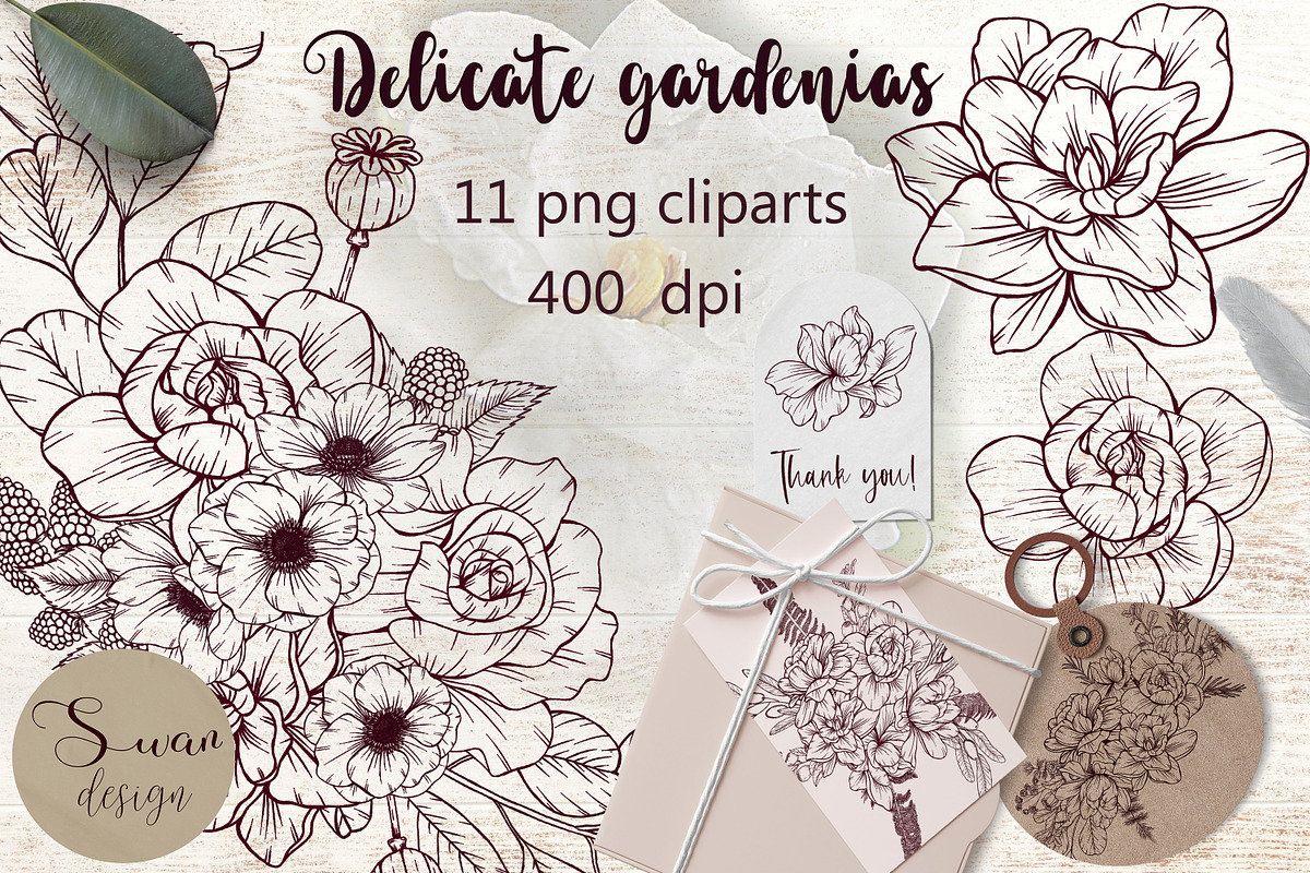Elegant vintage gardenia flowers png, a Decorative Illustration by Mrs.Swan_Design (Photo 1 of 7)
