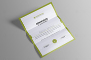 Certificate Template, a Stationery Template by thedesignsource (Thumbnail 7 of 8)