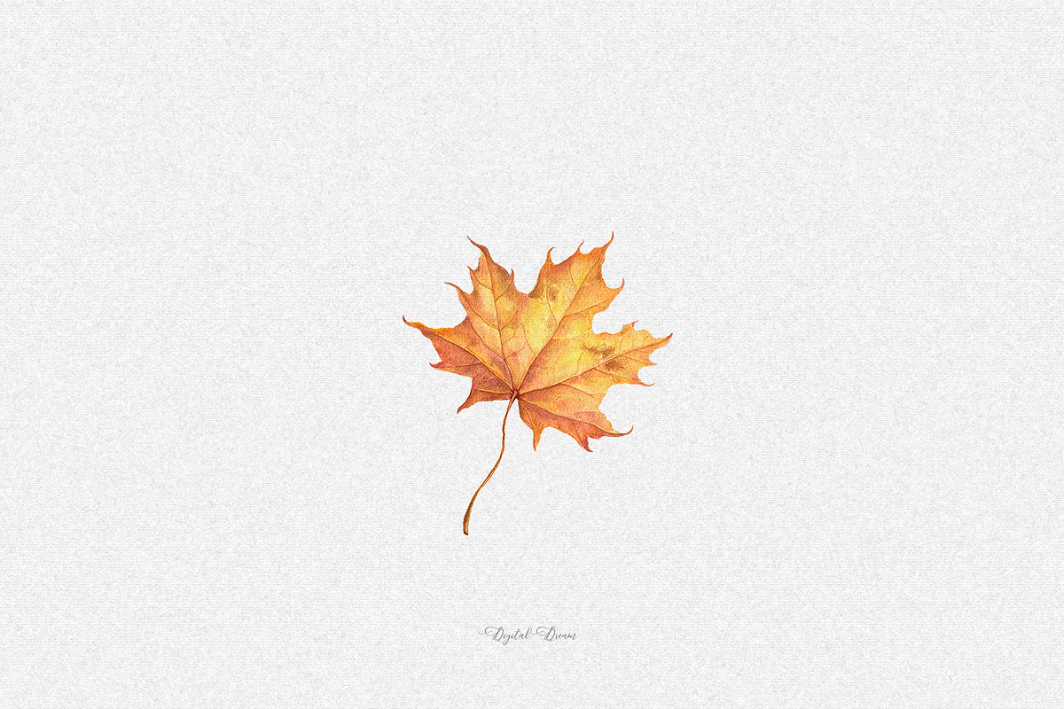 Watercolor fall leaves, an Illustration by DigitalDream (Photo 2 of 5)
