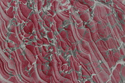 2 Hand Marbled Papers Moire, a Texture Graphic by Marblingdom (Thumbnail 3 of 3)