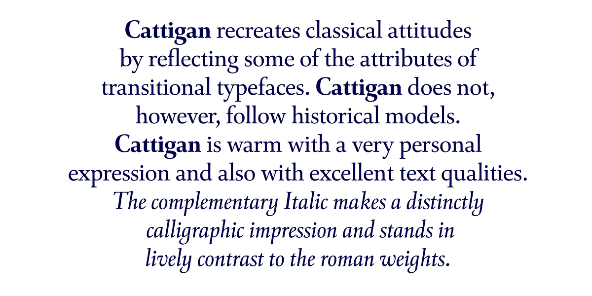 Cattigan, a Serif Font by Hoftype (Photo 3 of 15)