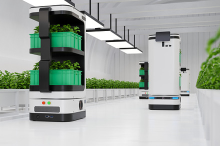An autonomous robot that help transport and take care of in vegetable plantatio