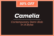 RNS Camelia, a Slab Serif Font by RNS Fonts (Thumbnail 1 of 4)
