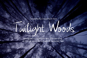 Twilight Woods Handwritten Font, a Handwritten Font by mpllano14 (Thumbnail 7 of 7)