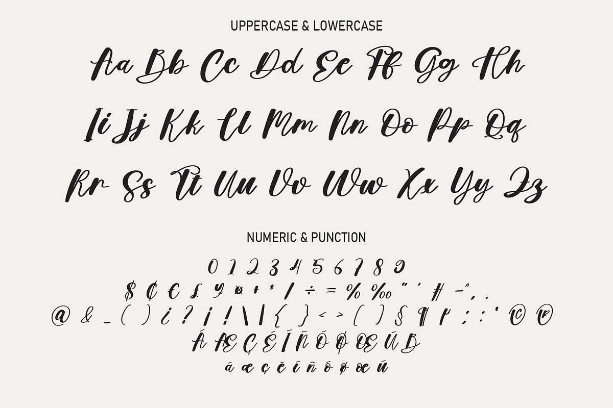 Calligrapher | Script Font, a Script Font by Scratchones (Photo 3 of 8)