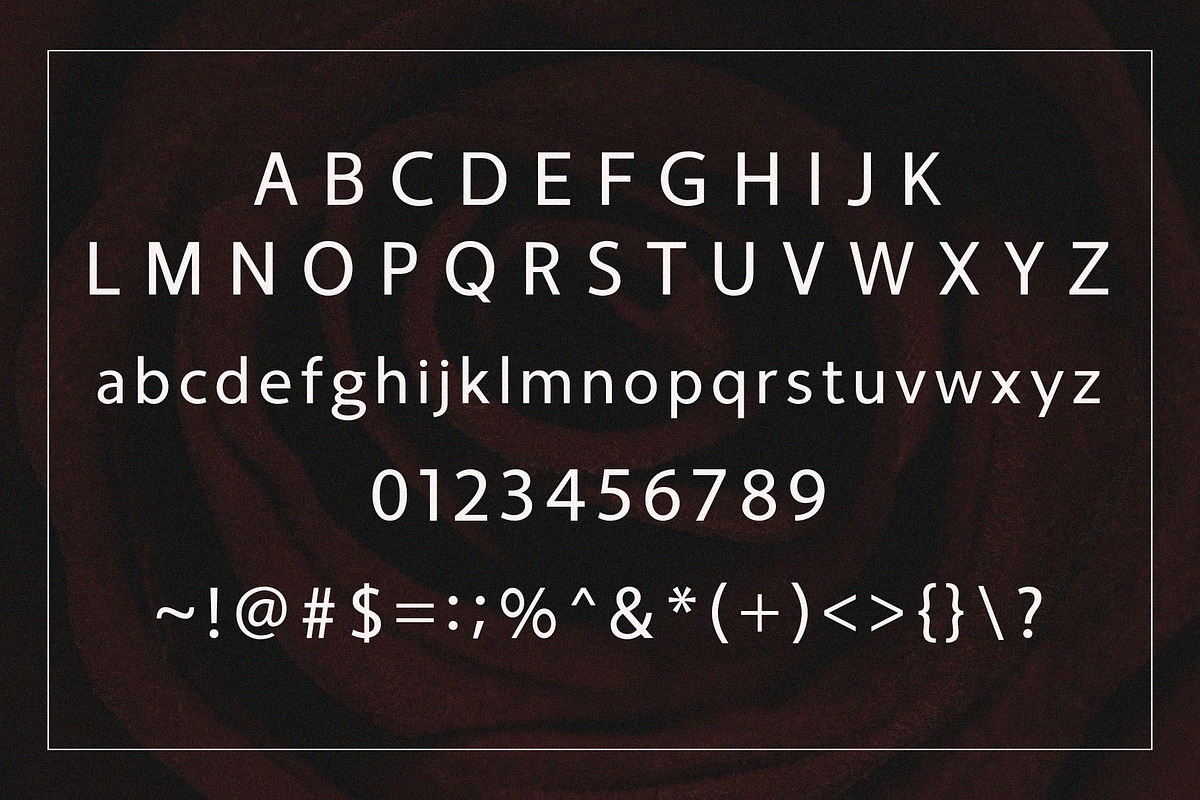 Fougie Modern Sans-Serif, a Sans Serif Font by Font Kingdom (Photo 4 of 5)