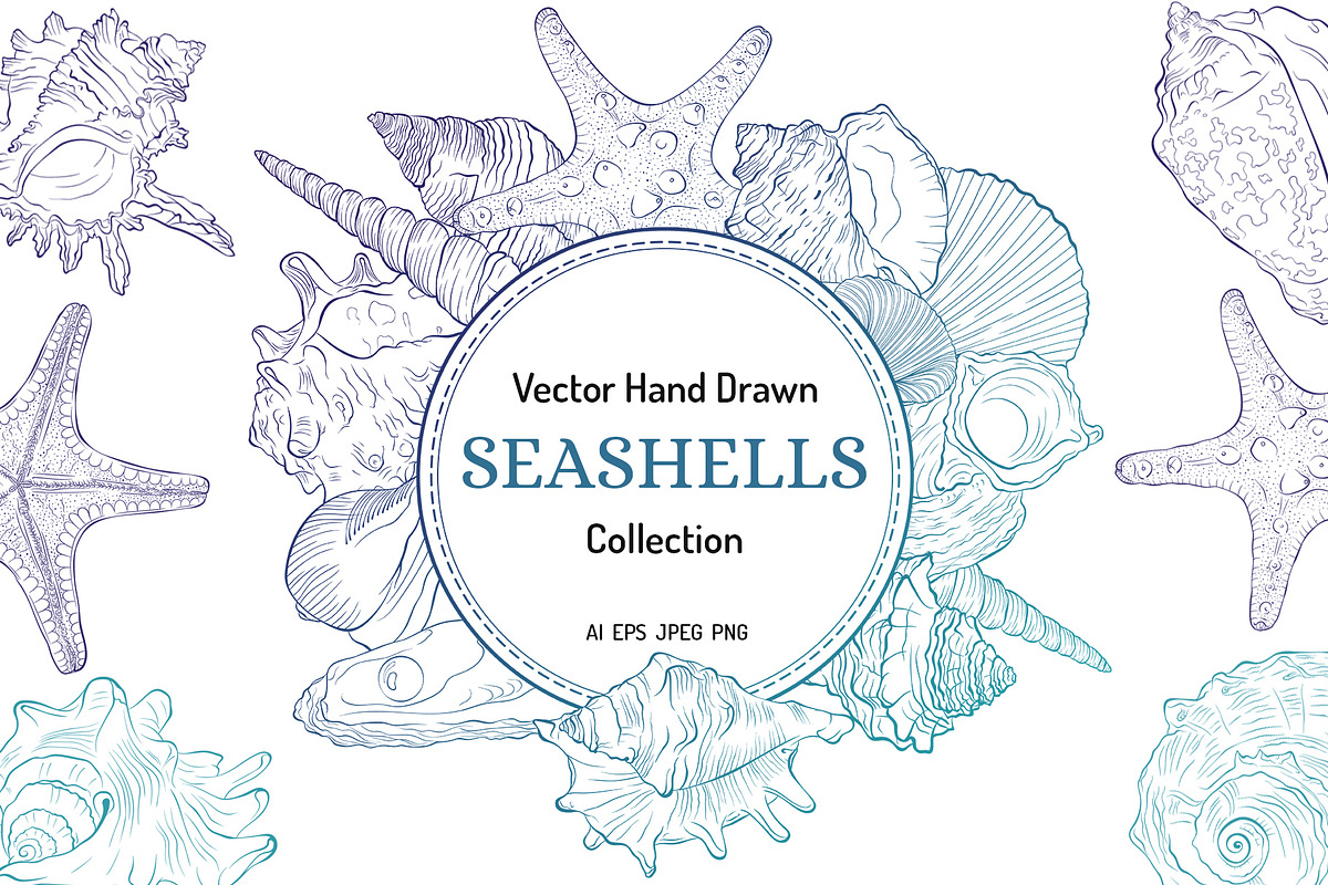 Seashells Vector Collection Line Art, an Animal Illustration by ennona_art (Photo 1 of 6)